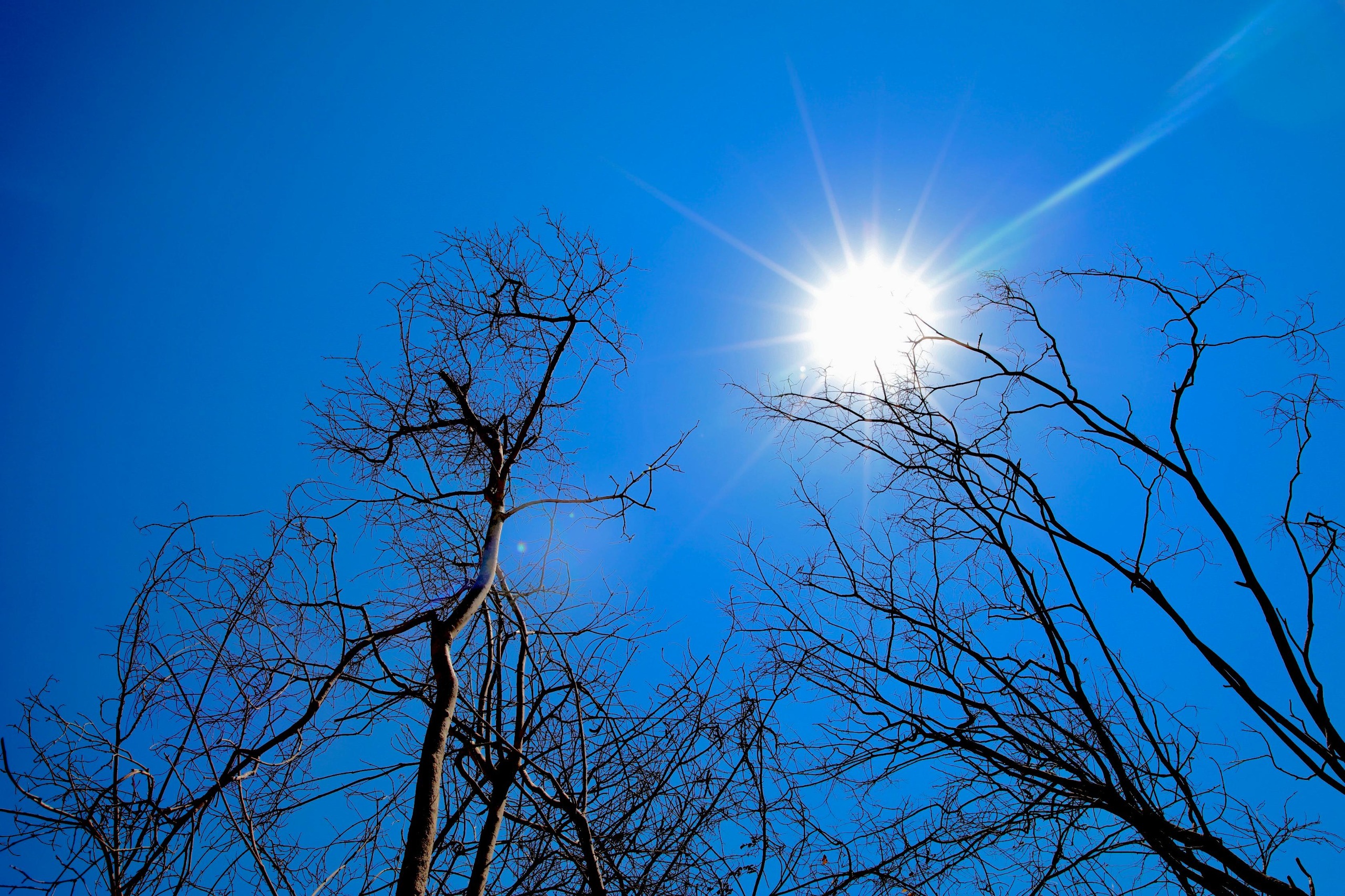 Inema prevê calor acima de 41 °C e umidade abaixo de 15% na Bahia nos próximos dias