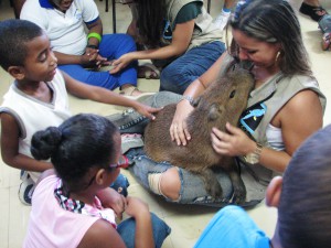 Educação ambiental com filhote de capivara (1)