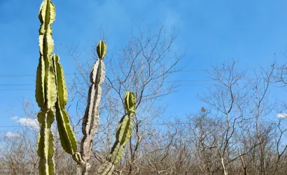 Previsão do Tempo: Feriado do Dia do Trabalho terá chuvas no litoral e sol no interior, aponta Inema