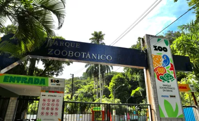 Zoo Bahia funcionará normalmente durante o São João e reforça orientações aos visitantes