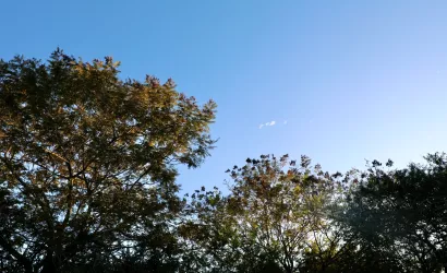 Previsão do Tempo: São João na Bahia será ensolarado e semiárido chega a 37°C no feriado, aponta Inema