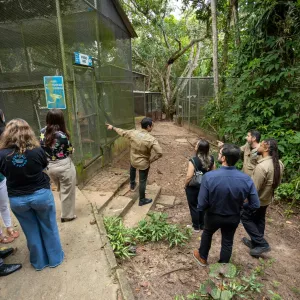 Inema apresenta ao MPF estrutura do CETAS e nova área de reabilitação em parceria com o Ibama