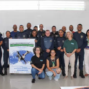 campanha de entrega voluntária