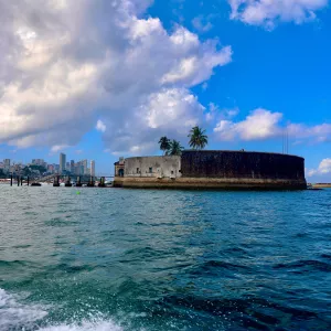 Inema autoriza estudo inédito da vida aquática para proteger Baía de Todos-os-Santos nas obras da Ponte Salvador-Itaparica