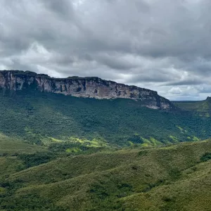 Dia Mundial dos Animais e da Natureza reforça importância da preservação ambiental