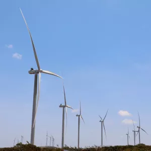 Equipe da FPI/BA fiscaliza Complexos Eólicos em Campo Formoso