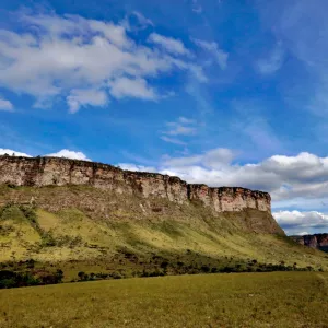 Sema e Inema participam de reunião do CERBMA/BA para recondução dos membros no biênio 2025-2027