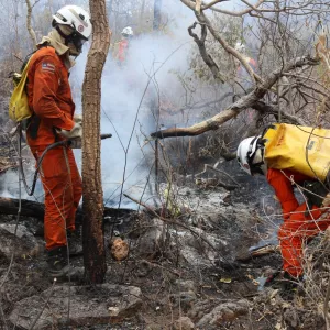 Balão vindo do RJ cai em Mucuri e acende alerta sobre os riscos ambientais da prática ilegal