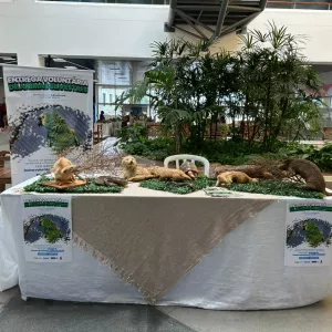 Campanha de entrega voluntária