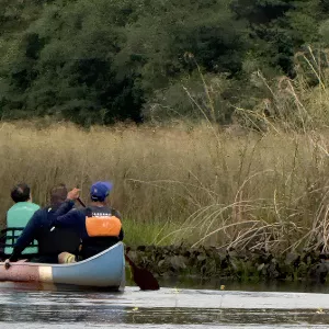 Inema reforça importância da outorga e destaca atuação técnica do Núcleo de Outorgas