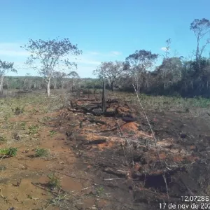 Operação Mata Branca - Utinga