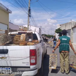 Fiscalização Juazeiro