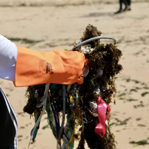 Limpeza de Praia do Rio Vermelho