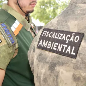 Atuação do Inema intensifica combate ao desmatamento e infrações ambientais