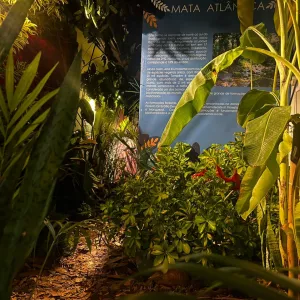 Projeto “Férias é no Zoo” oferece programação educativa e ambiental no fim das férias escolares