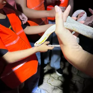 Inscrições para o Zoo noturno serão abertas neste fim de semana