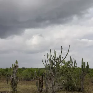 Previsão do Tempo: Fim de Semana será de sol no Litoral e pancadas de chuva em regiões do interior baiano