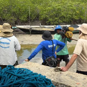 Inema intensifica ações no defeso do caranguejo-uçá e solta mais de 5,7 mil animais