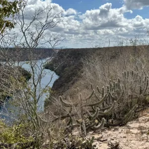 Turismo ecológico: aliado estratégico da conservação ambiental na Bahia