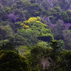 PESC - Acervo Sema/Inema