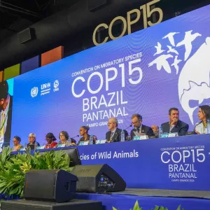 Bahia apresentam proposta sobre aves silvestres na COP15 e avança na integração entre saúde e meio ambiente