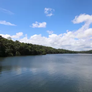 Dia Mundial da água: Bahia avança no monitoramento e investe em gestão hídrica