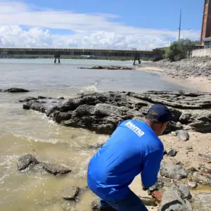 Inema afirma que não validou laudos divulgados por Terminal e diz que interdição segue mantida