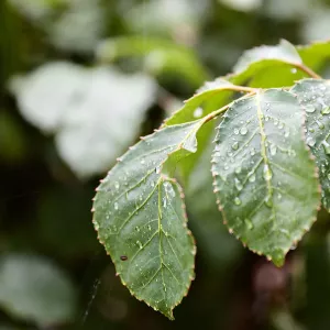 Previsão do tempo: Fim de semana terá sol, chuvas e aumento de instabilidades em toda a Bahia