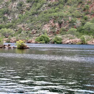 Rios da Bahia permanecem acima do nível de segurança e Inema mantêm alerta para risco de inundações