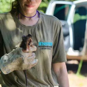 Mais de 50 animais silvestres são reintroduzidos à natureza nesta sexta-feira (24)