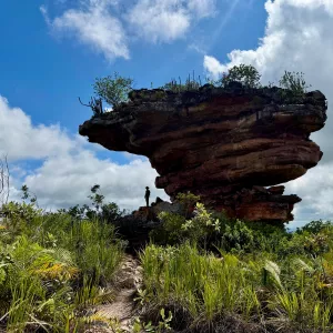 Junho Ambiental 2026: Governo promove entregas, investimentos de cerca de R$49 milhões e mobilização em todo o estado