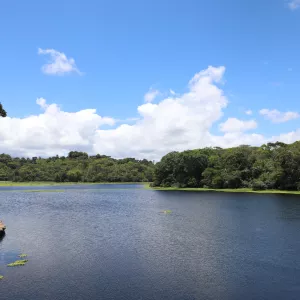 Semana do Meio Ambiente reúne marcos históricos da conservação ambiental na Bahia