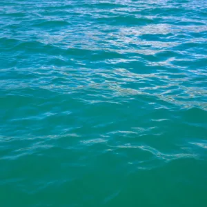 Balneabilidade: Litoral sul e extremo sul da Bahia têm 100% das praias nesta semana