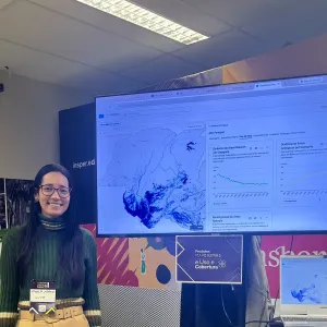 Inema é destaque em evento nacional do MapBiomas com sistema de fiscalização ambiental