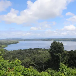 TCSA Porto Sul lança chamada de R$ 4 milhões para recomposição vegetal no Sul da Bahia