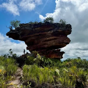 Refúgio de Vida Silvestre Serra da Chapadinha é criado