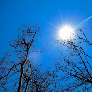 Inema prevê calor acima de 41 °C e umidade abaixo de 15% na Bahia nos próximos dias