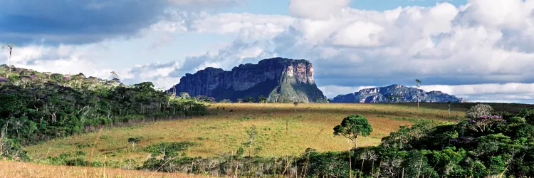 conservação da natureza 