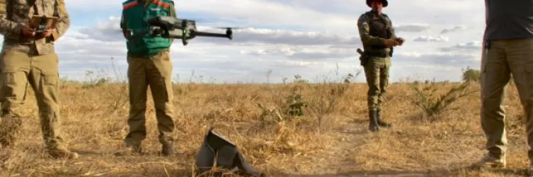 Ações da Sema e do Inema reduzem desmatamento do Cerrado baiano em 7%