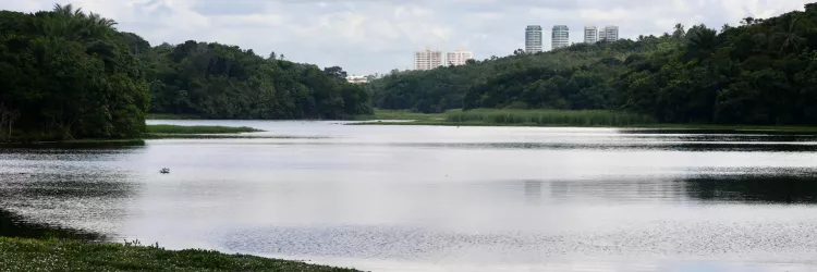 Previsão do Tempo: Fim de semana na Bahia será de tempo seco e pancadas de chuva isoladas