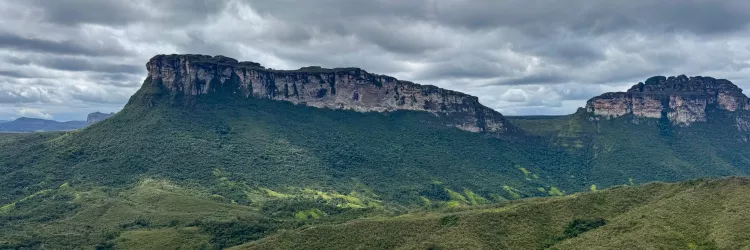 Dia Mundial dos Animais e da Natureza reforça importância da preservação ambiental