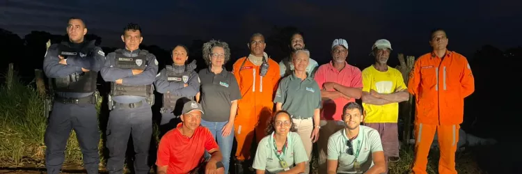 Denúncia sobre ataque de onça em Amargosa é descartada após checagem em campo