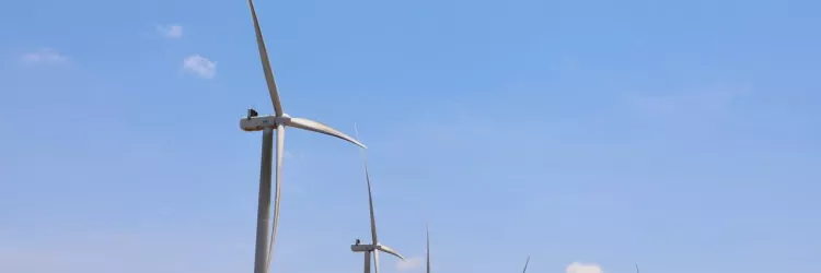 Equipe da FPI/BA fiscaliza Complexos Eólicos em Campo Formoso