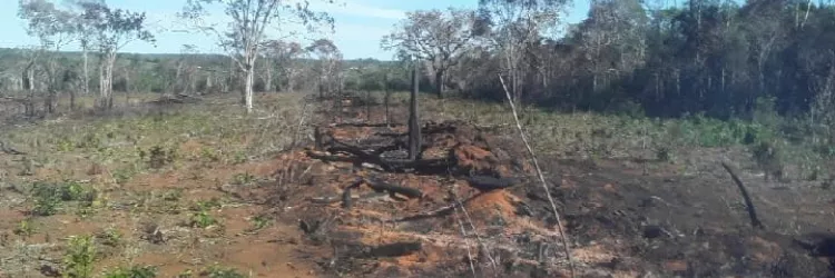Operação Mata Branca - Utinga