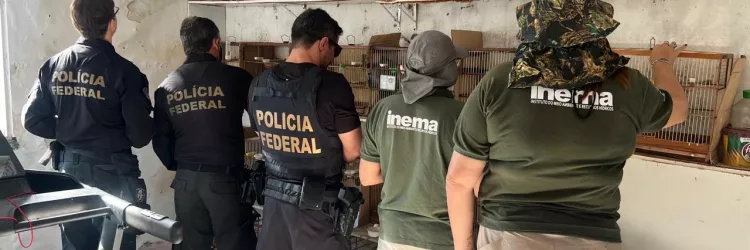 Inema acolhe e reabilita aves apreendidas em operação deflagrada pela Polícia Federal em Salvador