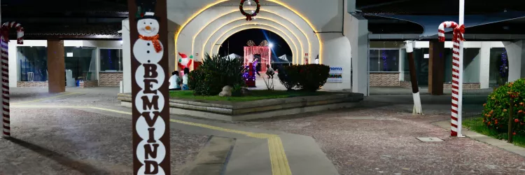 Natureza, lazer e conservação: Parque do Abaeté celebra o Natal com ornamentação sustentável