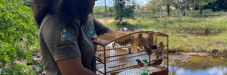 Ações de reabilitação do CETAS garante retorno de mais de 15 animais silvestres ao habitat natural 