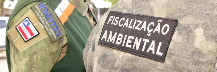 Atuação do Inema intensifica combate ao desmatamento e infrações ambientais