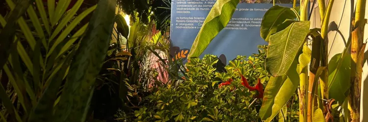 Projeto “Férias é no Zoo” oferece programação educativa e ambiental no fim das férias escolares