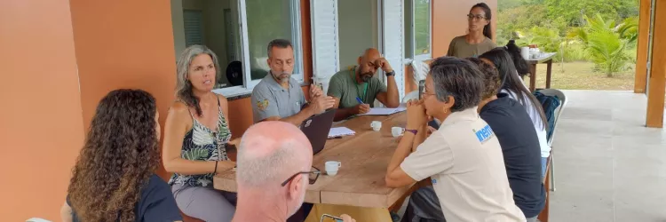 Bahia lança programa pioneiro para monitorar espécies ameaçadas de extinção na Mata Atlântica